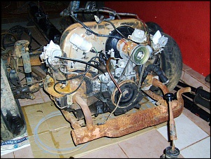 Gaiola PRO 2wd-019.jpg