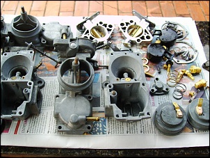 Gaiola PRO 2wd-023.jpg