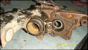 -s73f9118.jpg