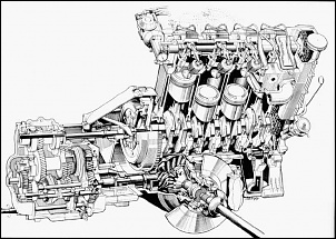 Gaiola motor 1600 x Gaiola AP 1.6-k70mot.jpg