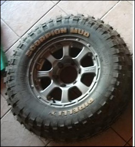 Gaiola PRO 2wd-pneu-01.jpg