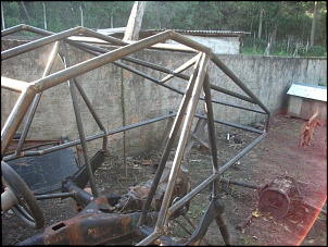 gaiola &quot;THE RUST&quot;-dscf2711.jpg
