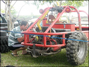 Novo no gaiolario...-dscn1277.jpg
