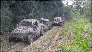 Fotos das gaiolas do pessoal do forum!-pqaaah0_jp7kyjedmxh_wdcabau_wj3rxyfqutybkzx338hpxjlrr052upkurqbpzvkbnkpstrxszjrcrcllr7mbjp0am1t1.jpg