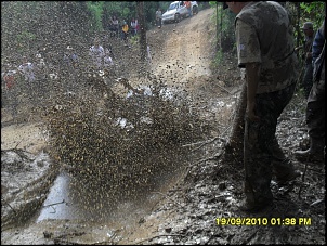 Fotos das gaiolas do pessoal do forum!-pqaaabg6liz_ttvy40z8hnso_hwyjavqihxkr2b4t0oit45tsr-n4sqbaktntwn_qgc6qhl-owwwod26hwc_e_8lydeam1t1.jpg