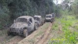 Fotos das gaiolas do pessoal do forum!-z1xtu9wo.jpg