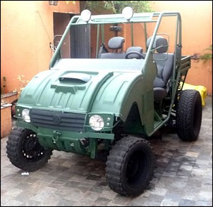 UTV - Tupiniquin-7229351910_dc3aecab6f.jpg