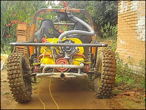 Gaiola Gomes-imag0002.jpg