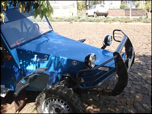 Nova VARIOLA surgindo!-dsc06466.jpg