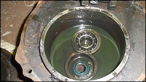 gaiola ap 1.8 injet.-100_1001.jpg