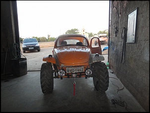 Nascimento do Baja mais lindo do Brasil-forum3.jpg