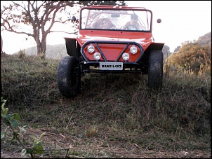 -gaiola1_337.jpg