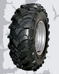 gaiola mudzilla 4x4-20111202113742sem-fronteirab.jpg
