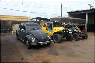 Fotos das gaiolas do pessoal do forum!-sam_0415.jpg