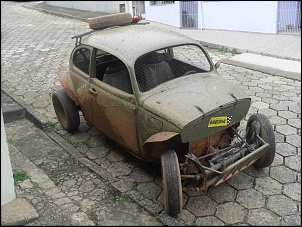 Meu Baja Brutus-sdc17457.jpg