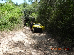 Fotos das gaiolas do pessoal do forum!-forum-2.jpg