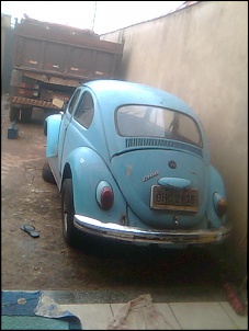 Fusca Cross-imagem0220.jpg