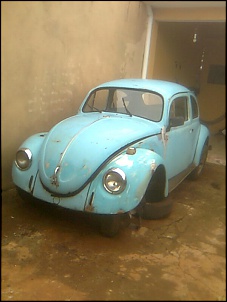 Fusca Cross-imagem0221.jpg