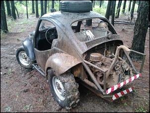 Gaiola Mini Baja-img0035.jpg