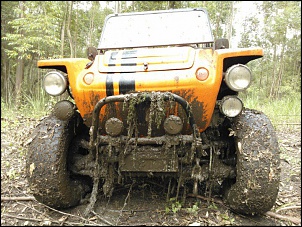 Buggy 4x4....-549175_524630377588376_1558009809_n.jpg
