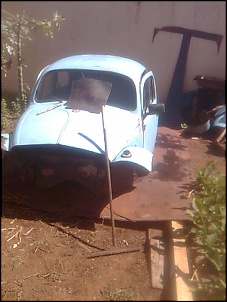 Fusca Cross-imagem0315.jpg