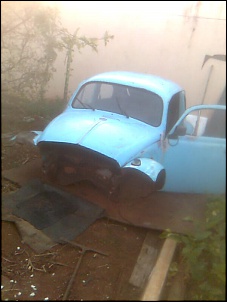 Fusca Cross-imagem0318.jpg