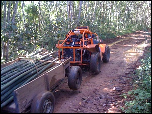 Fotos das gaiolas do pessoal do forum!-peso-extra.jpg
