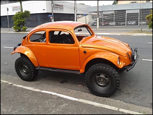baja orange de volta-baja1.jpg