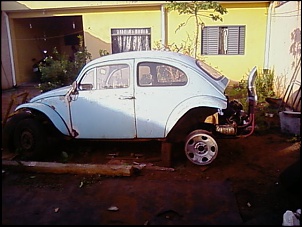 Fusca Cross-1121130724-00.jpg
