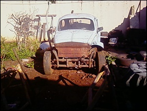 Fusca Cross-1208130818-00.jpg