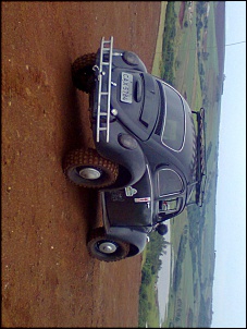 -foto0195.jpg
