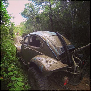 vamos postar fotos da nossas gaiolas- fuscas-buggy-img-20140302-wa0023.jpg