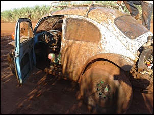 Fusca Cross-20140420_160722.jpg