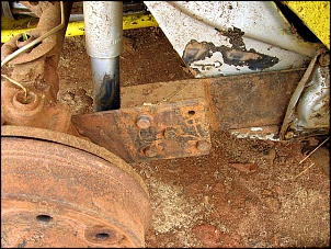 PRA QUEM VAI MONTAR UMA GAIOLA...-facaobaja_2_499.jpg