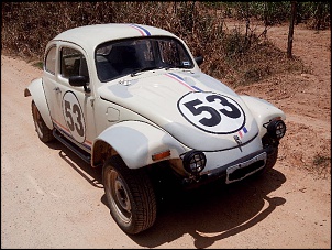Novo baja na area-baja-501.jpg