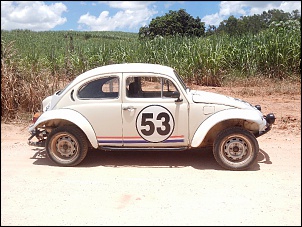 -baja-504.jpg