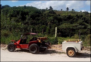 Buggy puxando jet ski-crotalus-cart-1-.jpg