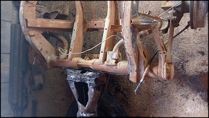 sonho antigo, gaiola AP-20180203_162045.jpg