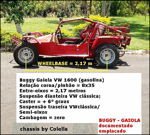 Qual gaiola comprar?-rail-buggy-oct-2018-1c-.jpg