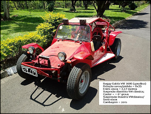 Qual gaiola comprar?-rail-buggy-oct-2018-3c-.jpg