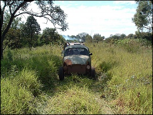 Para que gaiola?-fusca_fernando_003.jpg