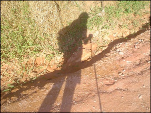 Para Os Amantes De Fotografia-dsc04660.jpg