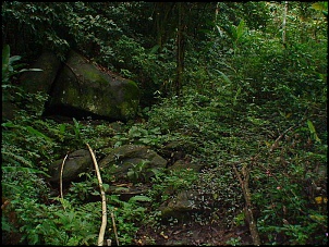 -dsc00084.jpg