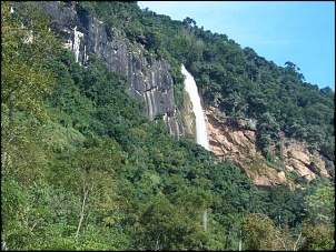 -s3700153.jpg