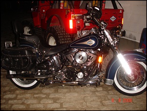 -dsc03980.jpg
