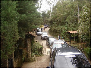 -carros01.jpg