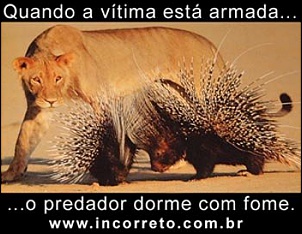 Desarmamento...-56211494_124.jpg
