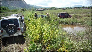 -l1000912.jpg