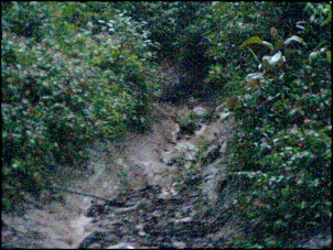 grupinho off road-dsc00044_177.jpg