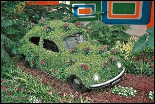 &quot;coisas estranhas&quot;-vw_beetles_001.jpg